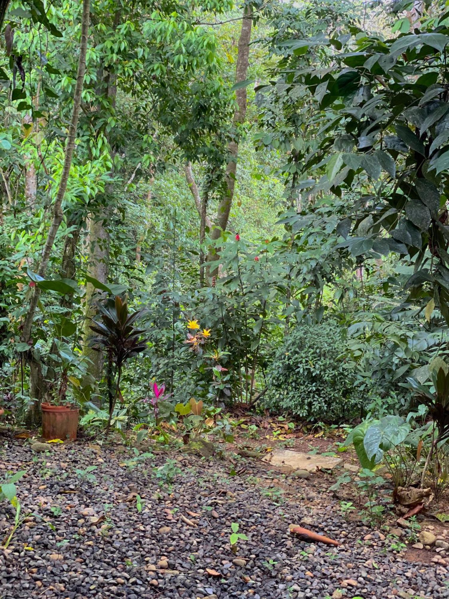Campo Verde House, La Fortuna De San Carlos Exteriör bild